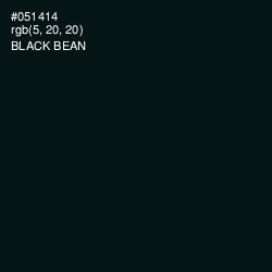 #051414 - Black Bean Color Image